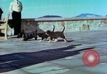 Image of Eva Braun Berchtesgaden Germany, 1940, second 56 stock footage video 65675077767