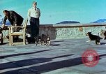 Image of Eva Braun Berchtesgaden Germany, 1940, second 57 stock footage video 65675077767