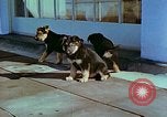 Image of Eva Braun Berchtesgaden Germany, 1940, second 61 stock footage video 65675077767