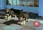 Image of Eva Braun Berchtesgaden Germany, 1940, second 62 stock footage video 65675077767