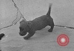 Image of Eva Braun Berchtesgaden Germany, 1940, second 7 stock footage video 65675077768