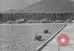 Image of Eva Braun Berchtesgaden Germany, 1940, second 19 stock footage video 65675077768