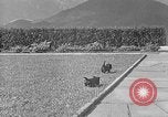 Image of Eva Braun Berchtesgaden Germany, 1940, second 20 stock footage video 65675077768
