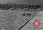 Image of Eva Braun Berchtesgaden Germany, 1940, second 27 stock footage video 65675077768