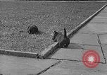 Image of Eva Braun Berchtesgaden Germany, 1940, second 31 stock footage video 65675077768