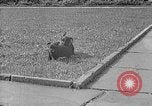 Image of Eva Braun Berchtesgaden Germany, 1940, second 35 stock footage video 65675077768