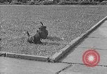 Image of Eva Braun Berchtesgaden Germany, 1940, second 36 stock footage video 65675077768