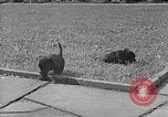 Image of Eva Braun Berchtesgaden Germany, 1940, second 40 stock footage video 65675077768
