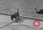Image of Eva Braun Berchtesgaden Germany, 1940, second 41 stock footage video 65675077768