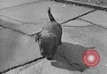 Image of Eva Braun Berchtesgaden Germany, 1940, second 43 stock footage video 65675077768