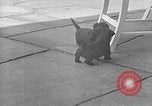 Image of Eva Braun Berchtesgaden Germany, 1940, second 51 stock footage video 65675077768