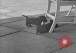 Image of Eva Braun Berchtesgaden Germany, 1940, second 54 stock footage video 65675077768