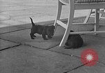 Image of Eva Braun Berchtesgaden Germany, 1940, second 56 stock footage video 65675077768