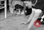 Image of puppies Berchtesgaden Germany, 1940, second 41 stock footage video 65675077772
