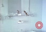 Image of bird in bathroom Berchtesgaden Germany, 1940, second 3 stock footage video 65675077773