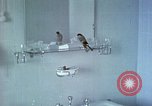 Image of bird in bathroom Berchtesgaden Germany, 1940, second 6 stock footage video 65675077773