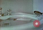 Image of bird in bathroom Berchtesgaden Germany, 1940, second 58 stock footage video 65675077773