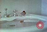 Image of bird in bathroom Berchtesgaden Germany, 1940, second 62 stock footage video 65675077773