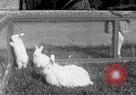 Image Berghof terrasse Berchtesgaden Allemagne, 1940, de la seconde 1 séquences d'archives historiques vidéo 65675077780