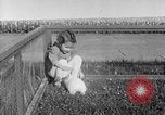 Image Berghof terrasse Berchtesgaden Allemagne, 1940, de la seconde 32 séquences d'archives historiques vidéo 65675077780