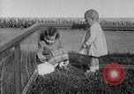 Image Berghof terrasse Berchtesgaden Allemagne, 1940, de la seconde 56 séquences d'archives historiques vidéo 65675077780