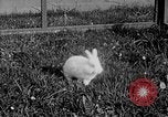 Image Berghof terrasse Berchtesgaden Allemagne, 1940, de la seconde 57 séquences d'archives historiques vidéo 65675077780
