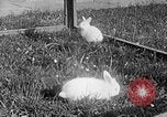 Image Berghof terrasse Berchtesgaden Allemagne, 1940, de la seconde 61 séquences d'archives historiques vidéo 65675077780