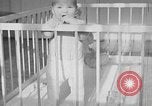 Standbild Eva Braun Berchtesgaden Deutschland, 1940, aus Sekunde 6 historischem Filmmaterial Videoclip 65675077783