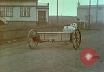 Image l'enfant islandais Islande, 1939, de la seconde 53 séquences d'archives historiques vidéo 65675077792
