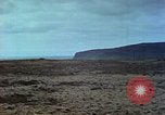 Standbild Eva Braun die Familie Island, 1940, aus Sekunde 22 historischem Filmmaterial Videoclip 65675077793