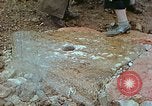 Standbild Eva Braun die Familie Island, 1940, aus Sekunde 30 historischem Filmmaterial Videoclip 65675077793
