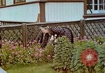 Image of Eva Braun's family Iceland, 1938, second 35 stock footage video 65675077795