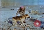 Image of snow covered mountains Greenland, 1938, second 17 stock footage video 65675077798