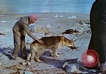Image of snow covered mountains Greenland, 1938, second 19 stock footage video 65675077798