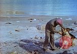 Image of snow covered mountains Greenland, 1938, second 25 stock footage video 65675077798