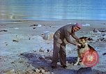 Image of snow covered mountains Greenland, 1938, second 26 stock footage video 65675077798