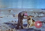 Image of snow covered mountains Greenland, 1938, second 28 stock footage video 65675077798