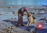 Image of snow covered mountains Greenland, 1938, second 30 stock footage video 65675077798