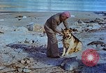 Image of snow covered mountains Greenland, 1938, second 31 stock footage video 65675077798