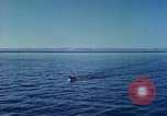Image of Eva Braun Atlantic Ocean, 1938, second 54 stock footage video 65675077799