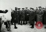 Image Ion Antonescu Eastern Front théâtre européen, 1941, de la seconde 13 séquences d'archives historiques vidéo 65675077801