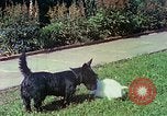 Image Berghof Berchtesgaden Allemagne, 1940, de la seconde 45 séquences d'archives historiques vidéo 65675077810