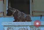 Image Uschi Schneider Berchtesgaden Allemagne, 1940, de la seconde 48 séquences d'archives historiques vidéo 65675077813