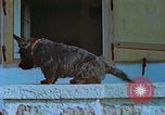 Image Uschi Schneider Berchtesgaden Allemagne, 1940, de la seconde 49 séquences d'archives historiques vidéo 65675077813