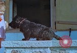 Image Uschi Schneider Berchtesgaden Allemagne, 1940, de la seconde 50 séquences d'archives historiques vidéo 65675077813