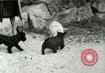 Image of Hitler's inner circle Berchtesgaden Germany, 1940, second 1 stock footage video 65675077818