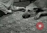 Image Adolf Hitler's Companion Berchtesgaden Allemagne, 1940, de la seconde 41 séquences d'archives historiques vidéo 65675077829