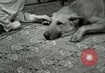 Image Adolf Hitler's Companion Berchtesgaden Allemagne, 1940, de la seconde 42 séquences d'archives historiques vidéo 65675077829