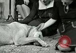 Image Adolf Hitler's Companion Berchtesgaden Allemagne, 1940, de la seconde 46 séquences d'archives historiques vidéo 65675077829