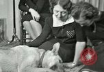 Image Adolf Hitler's Companion Berchtesgaden Allemagne, 1940, de la seconde 49 séquences d'archives historiques vidéo 65675077829